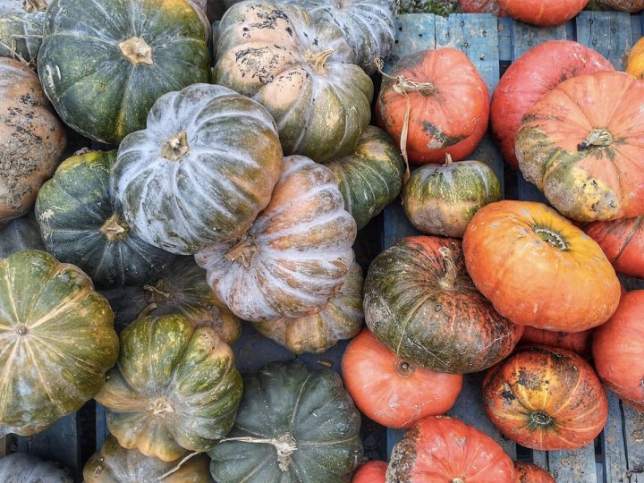 Nos pépites pour&nbsp;Halloween